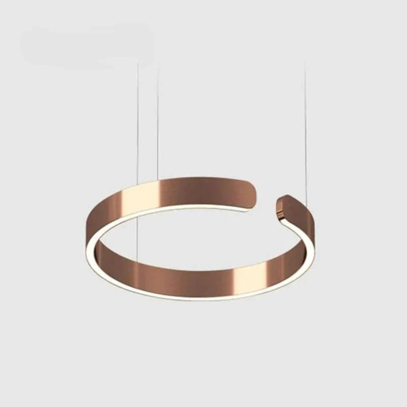NORDIQUE – Minimalist LED Ring Ceiling Light